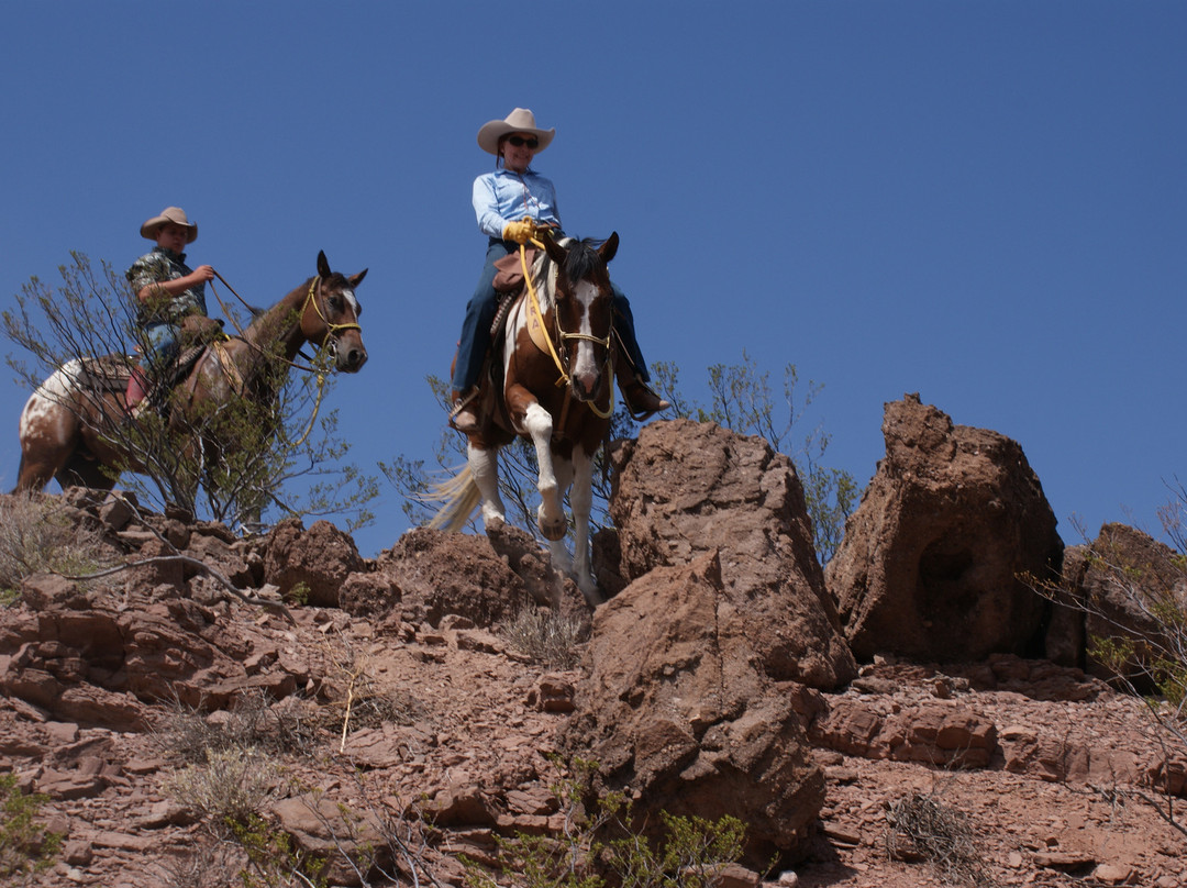 Acacia Riding Adventures-San Acacia必去景点