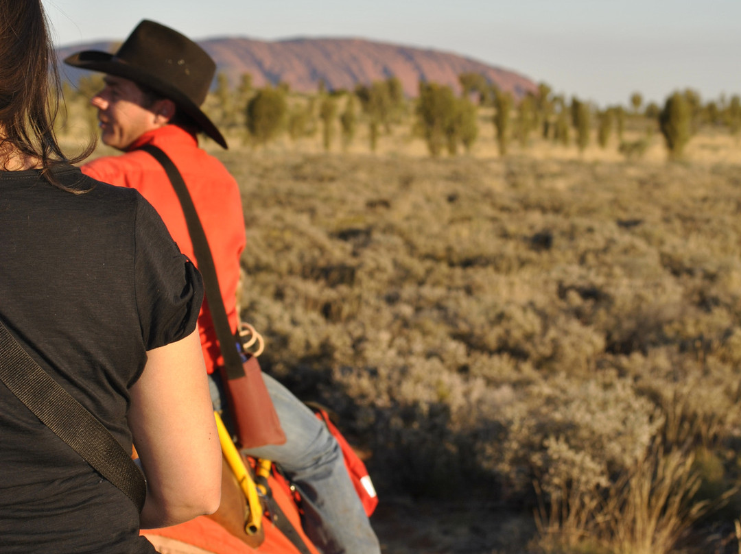 Uluru Camel Tours景点图片