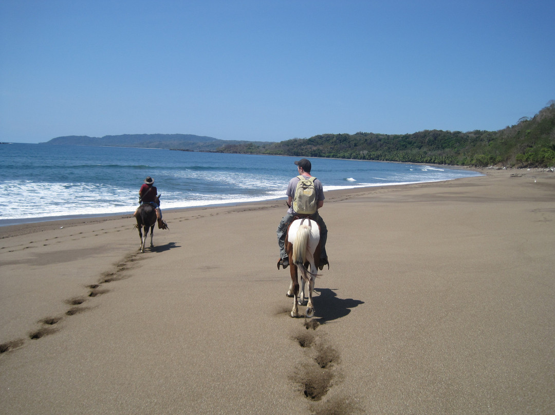 El Pinto Horseback Riding Expeditions景点图片