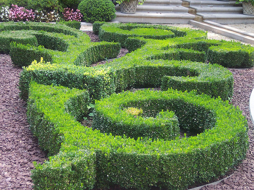 山林博物馆&花园-华盛顿特区必去景点