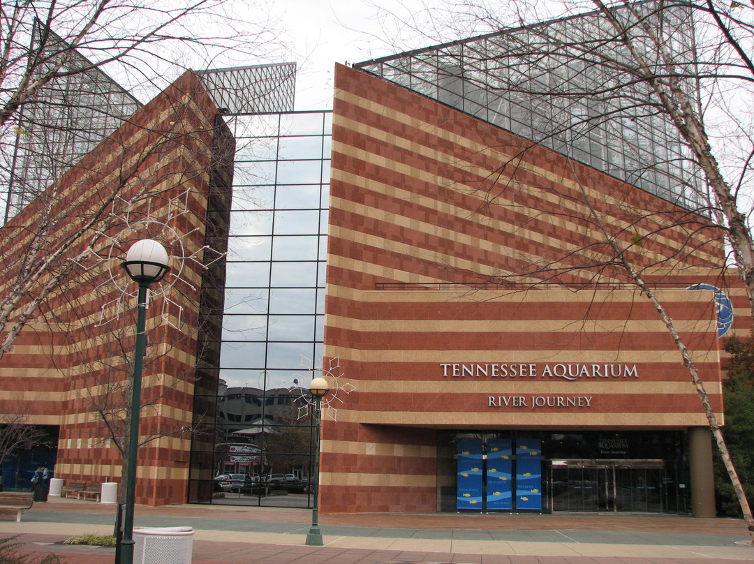 田纳西水族馆-查塔努加必去景点