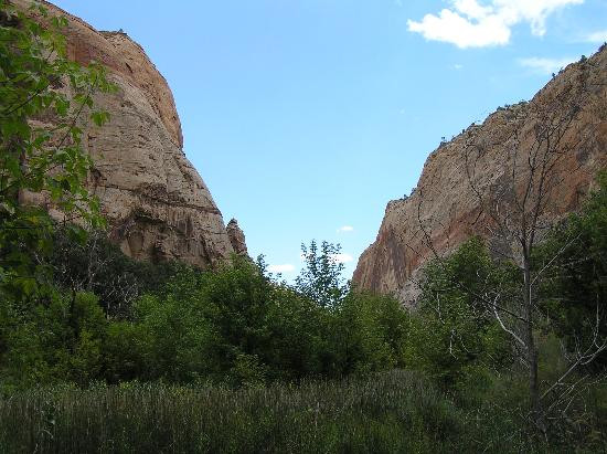Calf Creek Falls Recreation Area景点图片