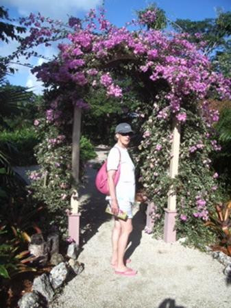 伊莉萨白女王二世植物园-大开曼岛必去景点