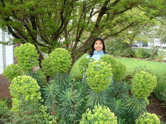 Luther Burbank Home & Gardens景点图片