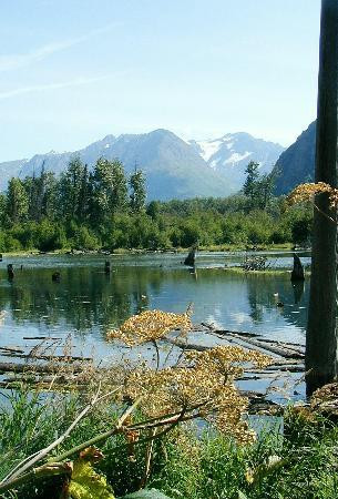 Eagle River Nature Center-伊格尔里弗必去景点