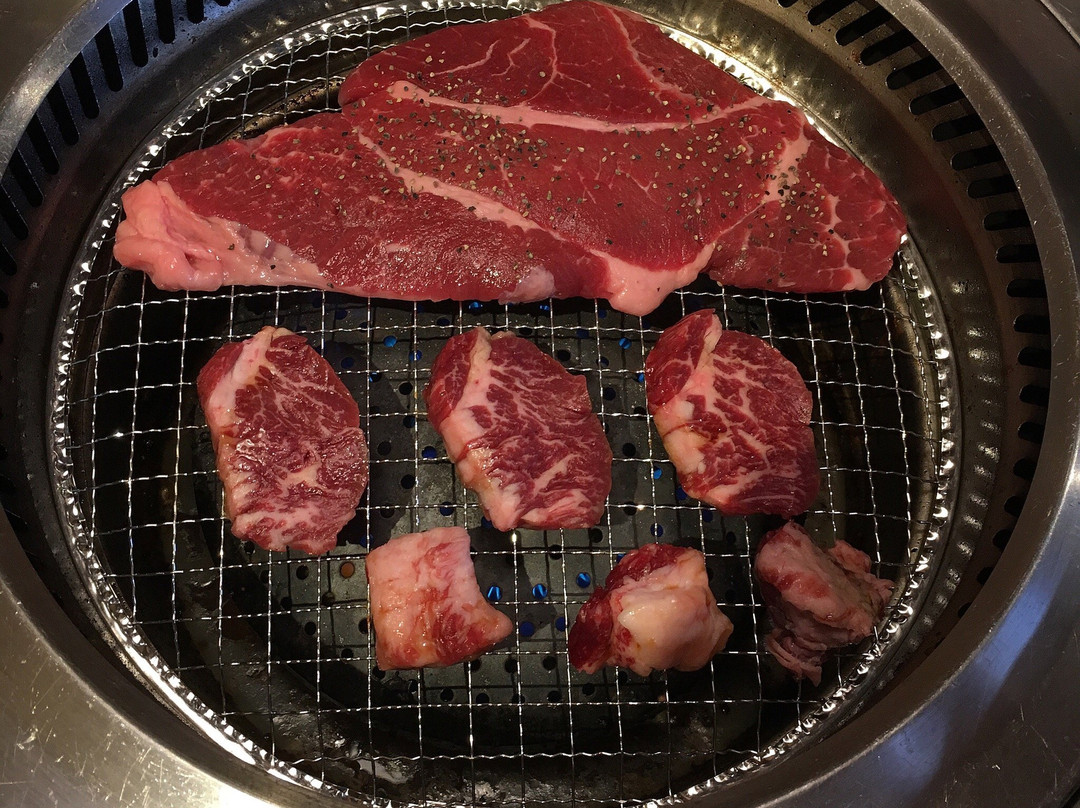 加寿屋 羽曳野店