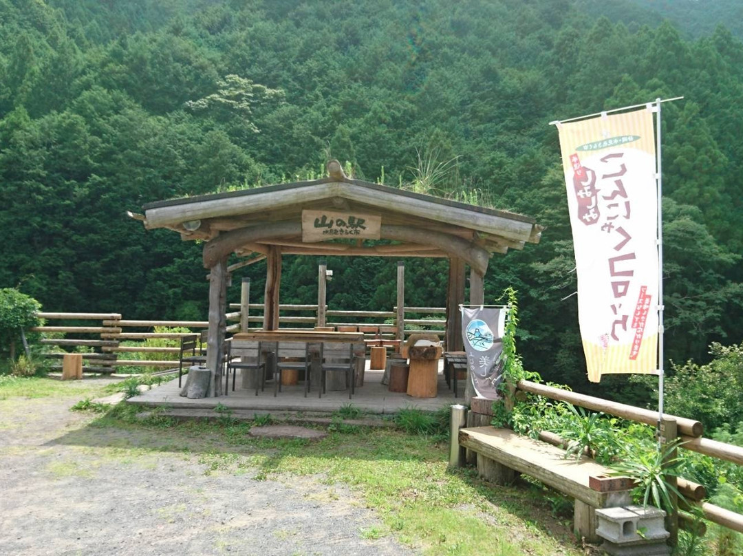 水見色 きらく市