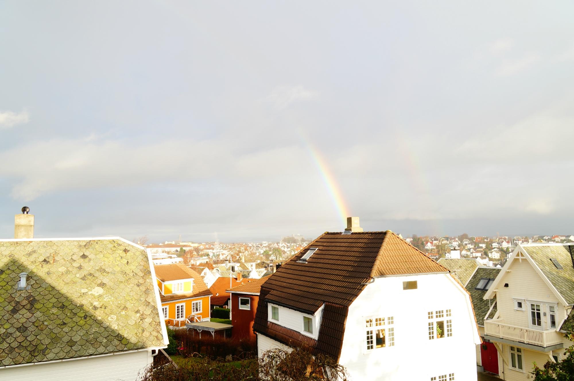 Bed, Books, & Breakfast-酒店景观