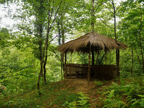 Andro Kartsidze-Pereta必去景点