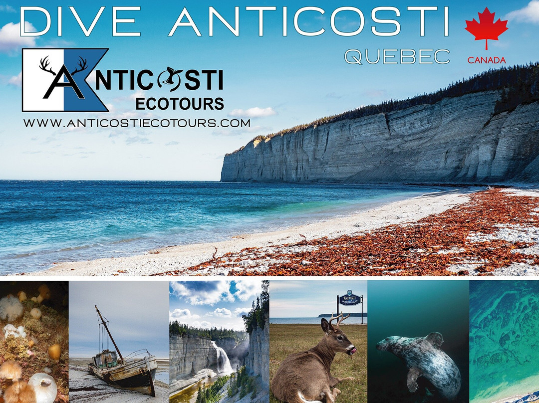 Anticosti Ecotours - diving and land adventures景点图片