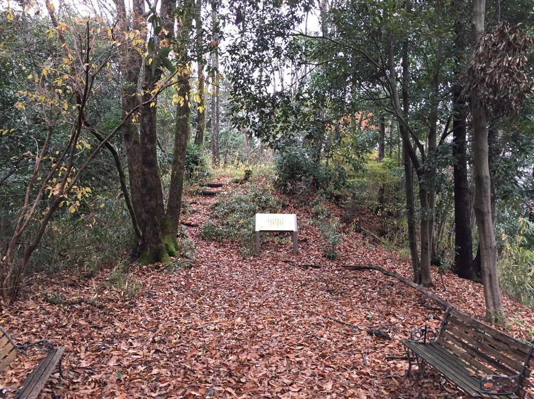 Tomi Shrine-樱井市必去景点