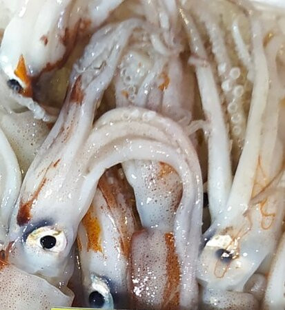 Porto di Sciacca景点图片