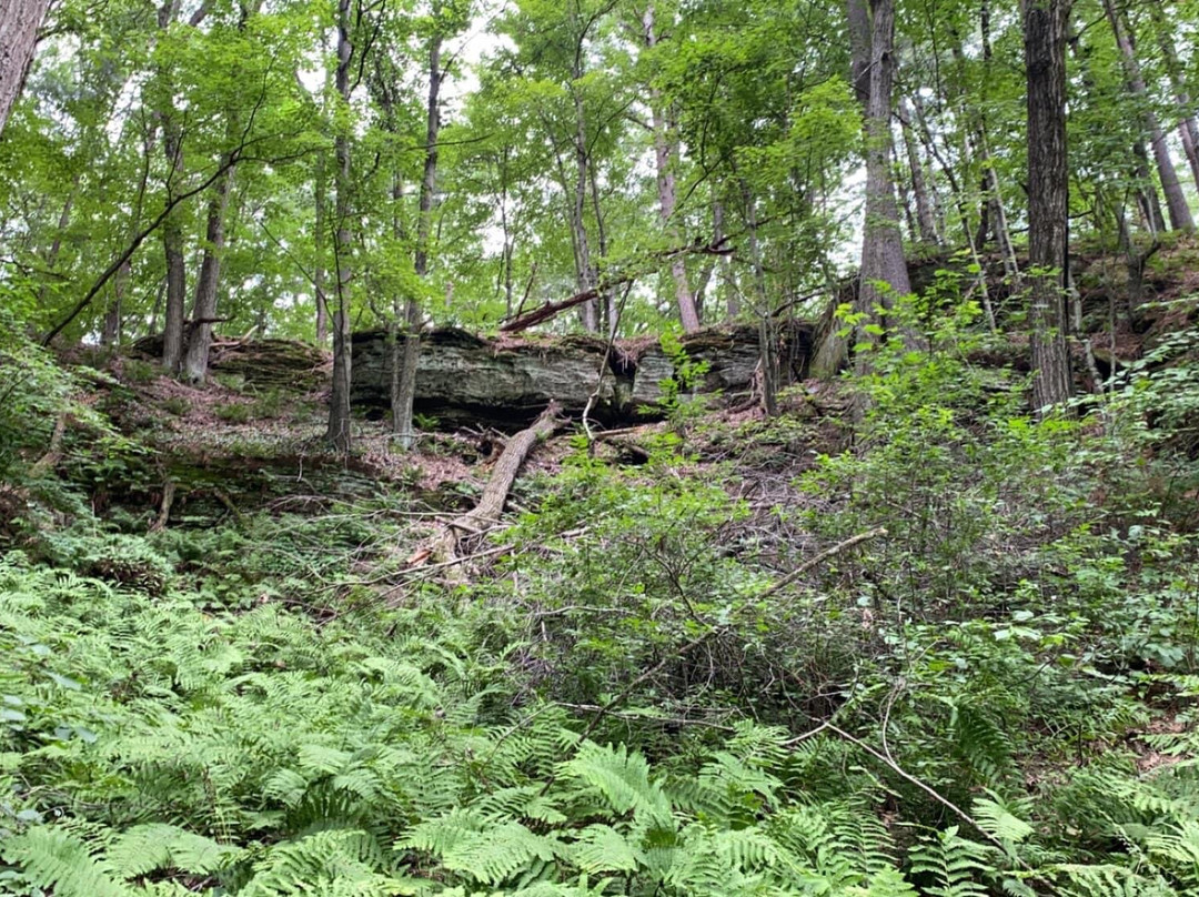 Rocky Arbor State Park景点图片