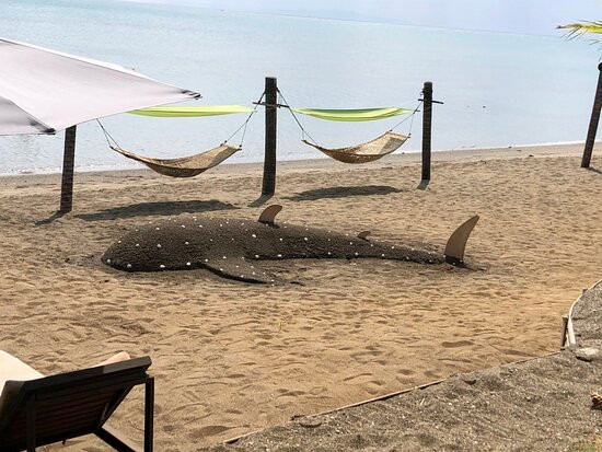 艾丽西亚海滩度假村主图