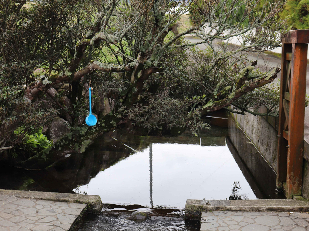 Wakisawazu Water Source景点图片