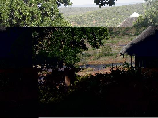 Kruger National Park-尼斯普鲁特必去景点