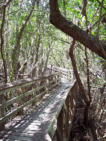 West Lake Trail-大沼泽国家公园必去景点