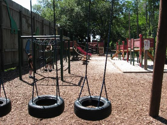 Dinosaur World-普兰特城必去景点