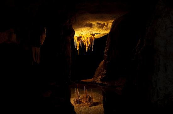 Naracoorte Caves National Park-Naracoorte必去景点