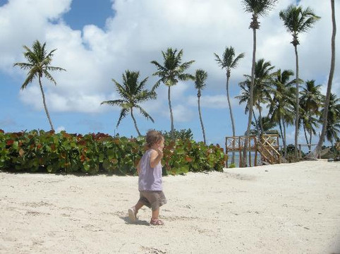 Dolphin Explorer-蓬塔卡纳必去景点