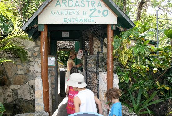 Ardastra Gardens & Wildlife Conservation Centre-拿骚必去景点