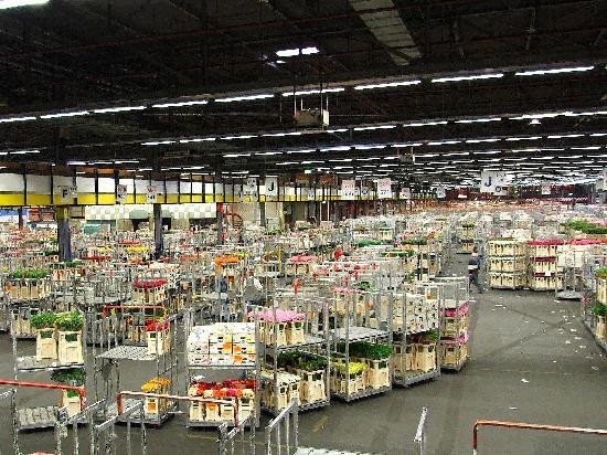 Royal FloraHolland Visitor Centre景点图片