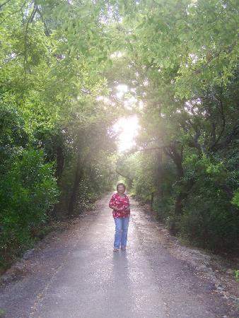 日本茶园-圣安东尼奥市必去景点