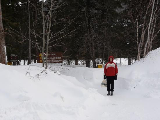 Liard River Hot Springs Provincial Park-不列颠哥伦比亚省必去景点