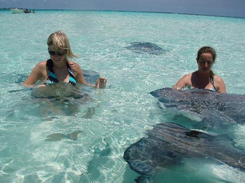 Stingray Adventures Ltd-西湾必去景点