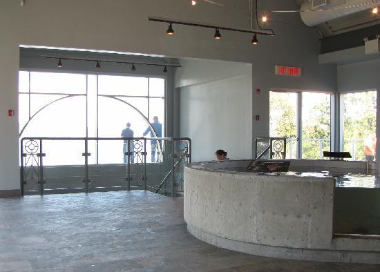 Huntsman Fundy Discovery Aquarium-Saint Andrews必去景点