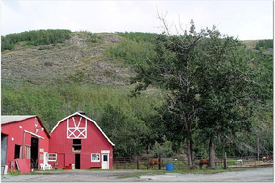 Reindeer Farm-帕尔默必去景点