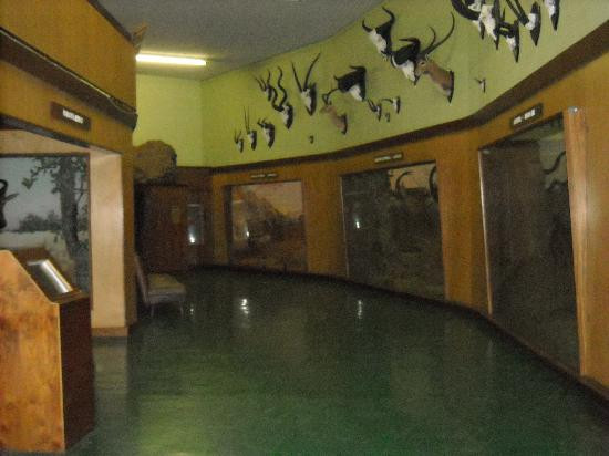 Natural History Museum景点图片