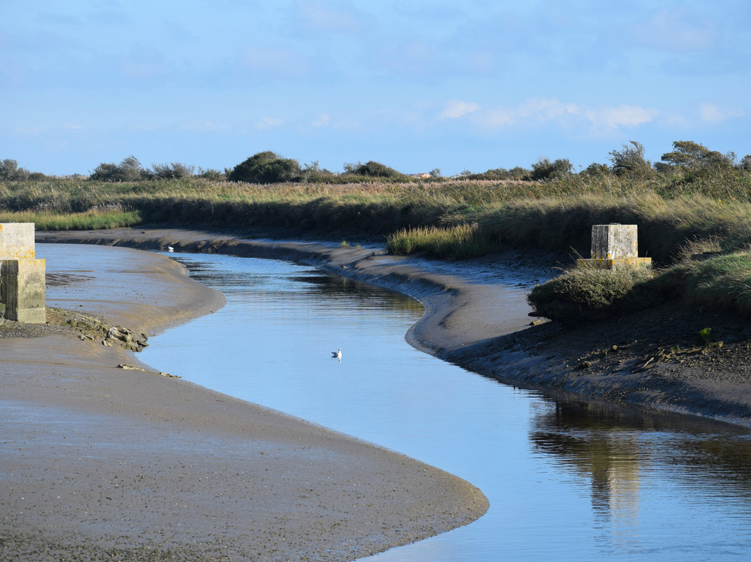 Pagham Harbour Local Nature Reserve景点图片