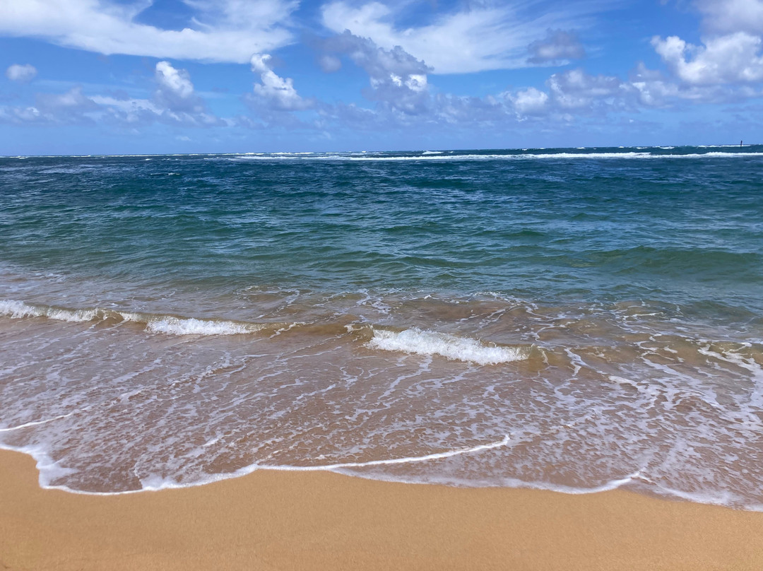 Kapa’a Beach Park景点图片