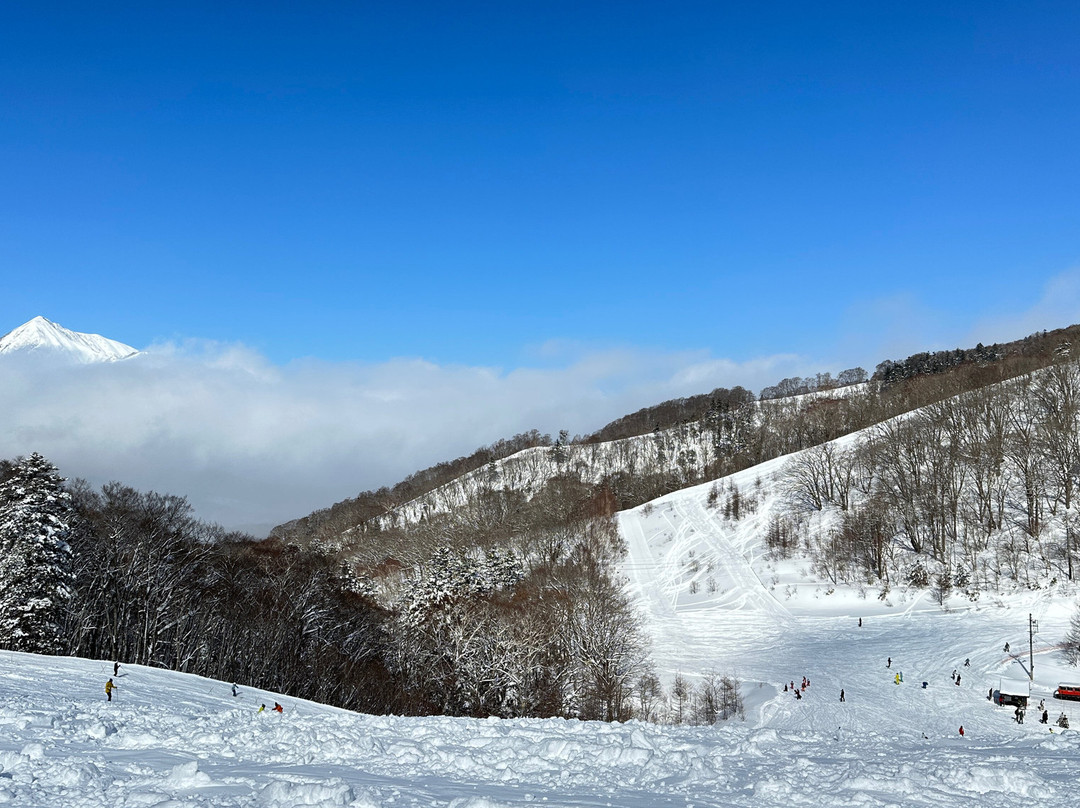 Togakushi Ski Area景点图片