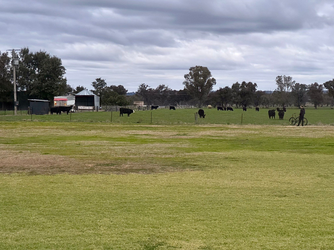 Australian Homestead主图