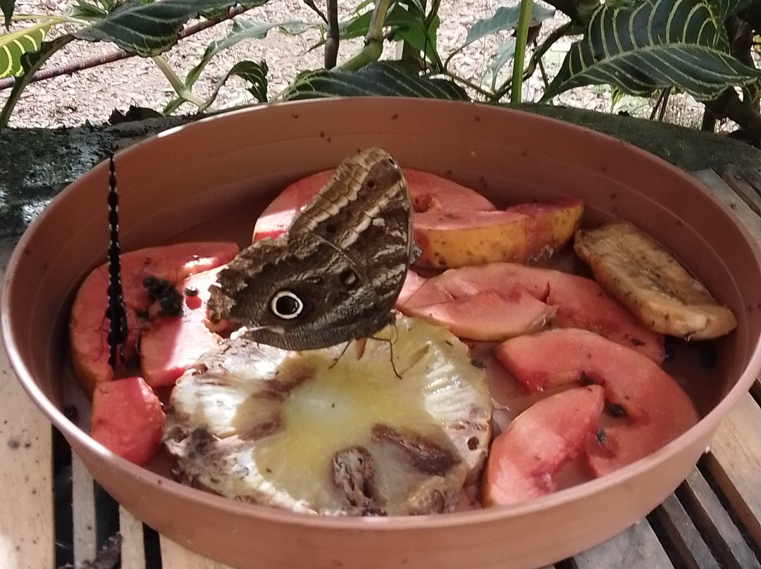 Maripoxa Ecotours-奥克萨潘帕必去景点