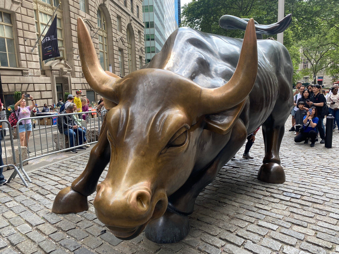 The Wall Street Experience - Wall Street Tours景点图片
