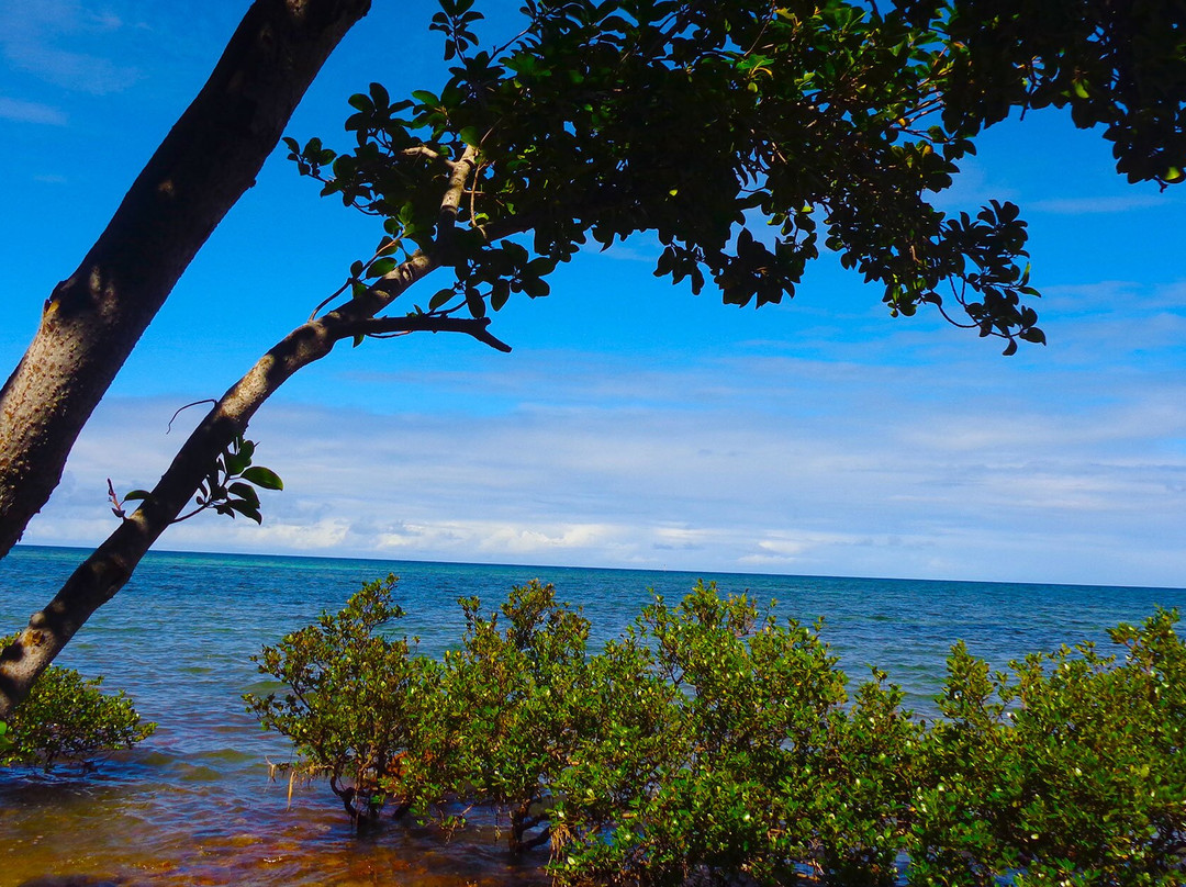 Promenade Pierre-Vernier-努美阿必去景点