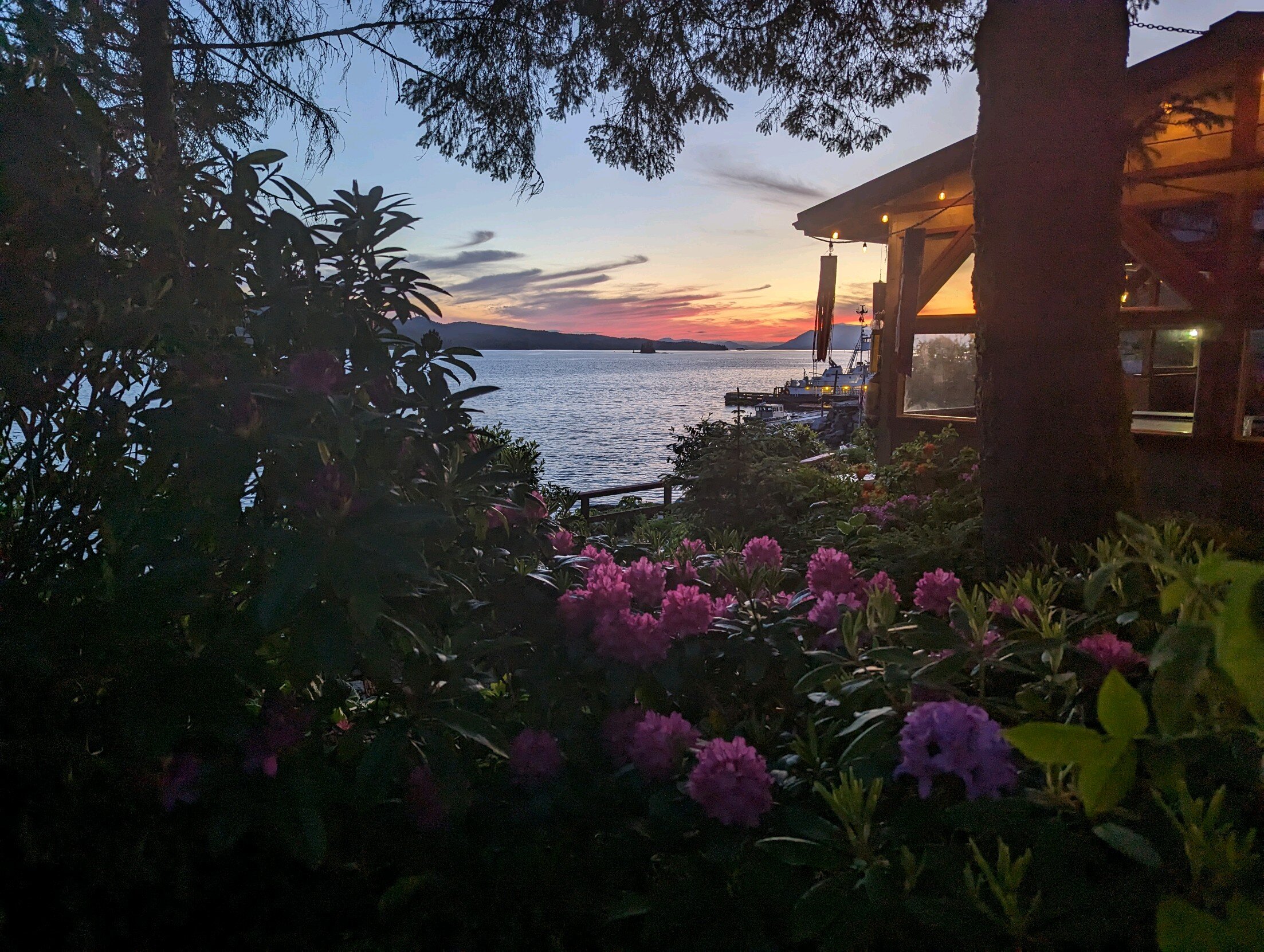 Black Bear Inn-酒店景观