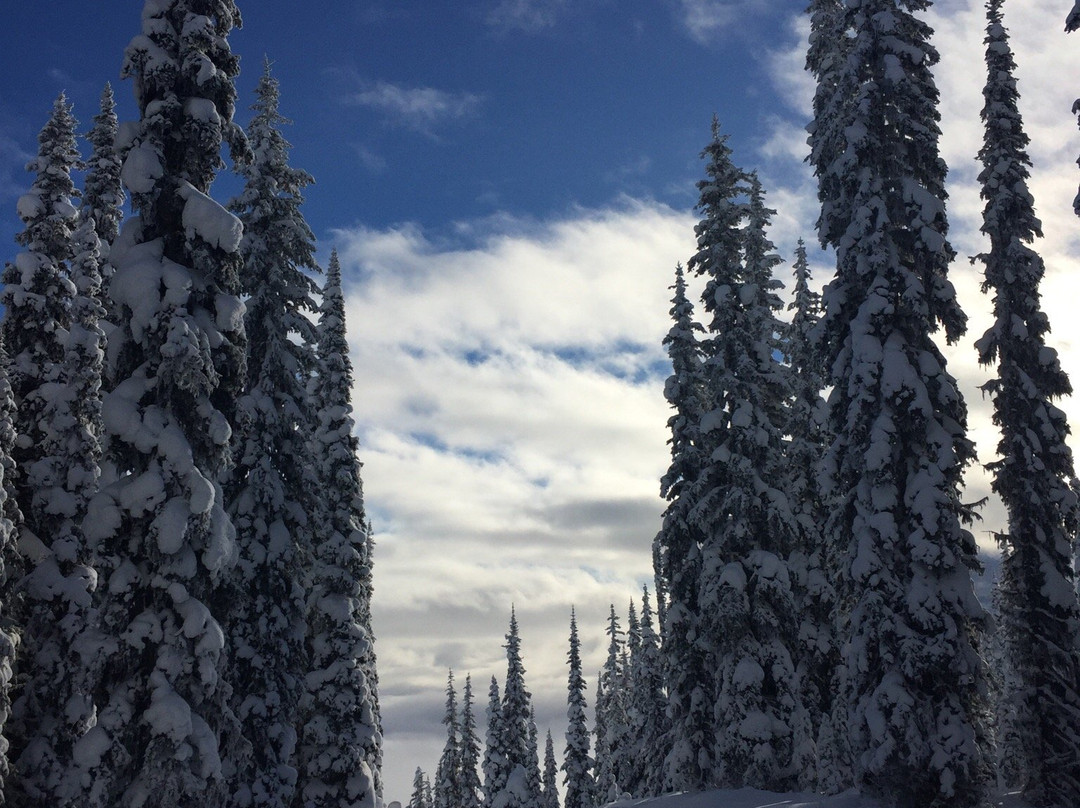 Cariboo SnowCat Skiing-维尔蒙特必去景点
