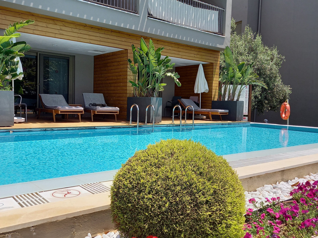 Barut Hemera主图