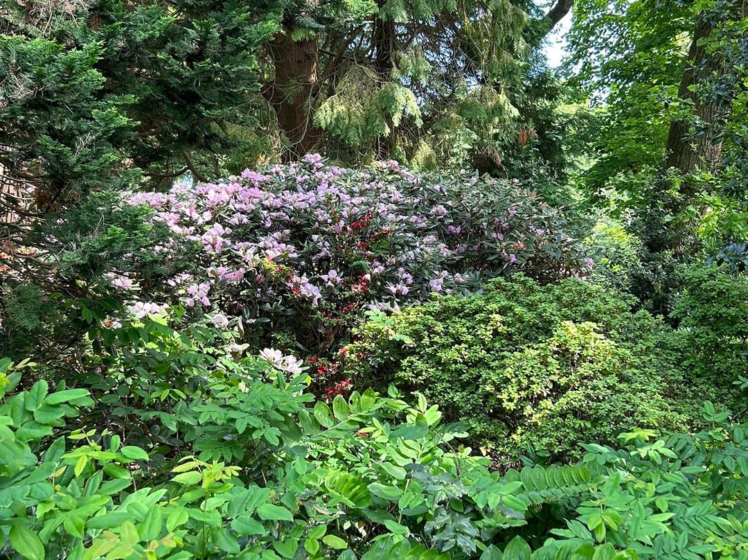 Jardin Le Vasterival景点图片