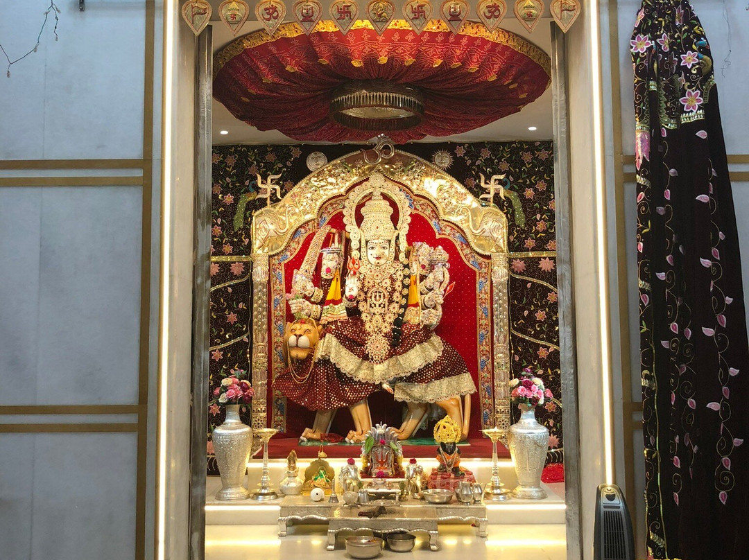 Shree Narayani Dham Temple景点图片