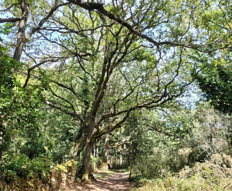 Sentier de la Vigie-La Trinite-sur-Mer必去景点
