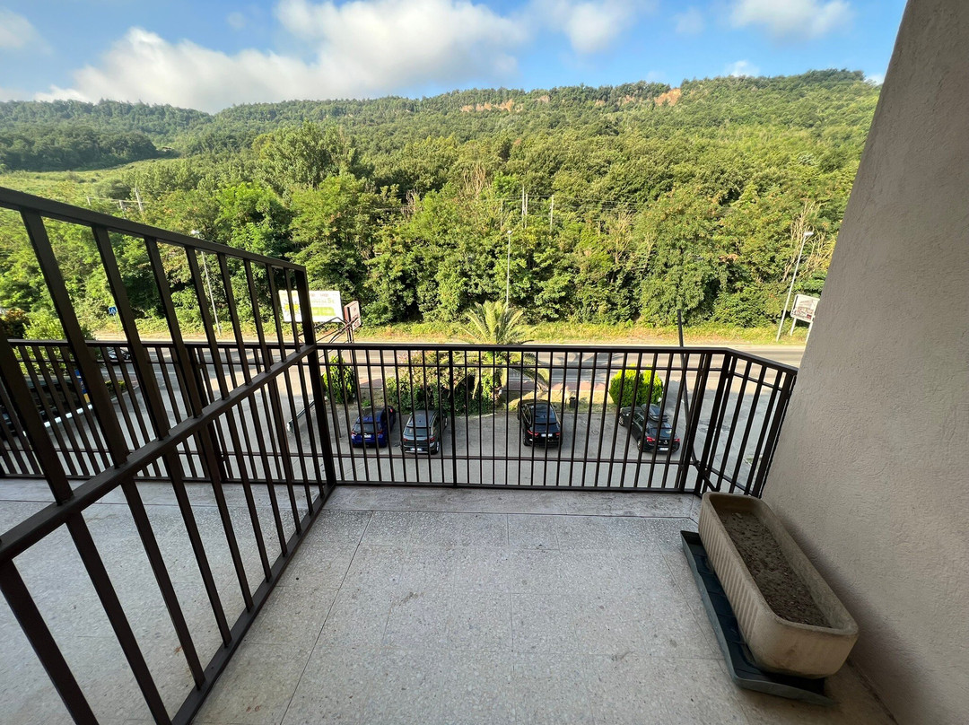 克里斯塔尔酒店主图