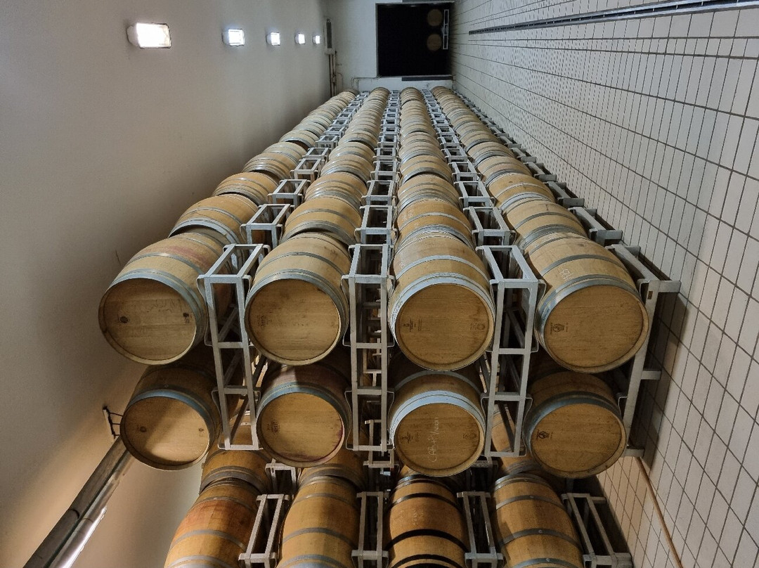 Arnaldo Caprai - Viticoltore in Montefalco-Montefalco必去景点
