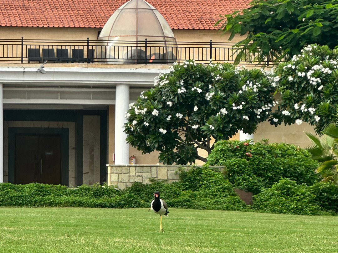 The Westin Pushkar Resort & Spa主图