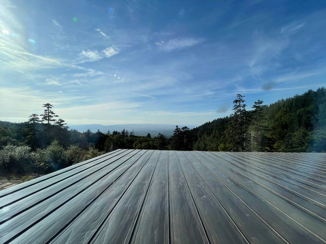 卡米霍罗素酒店主图