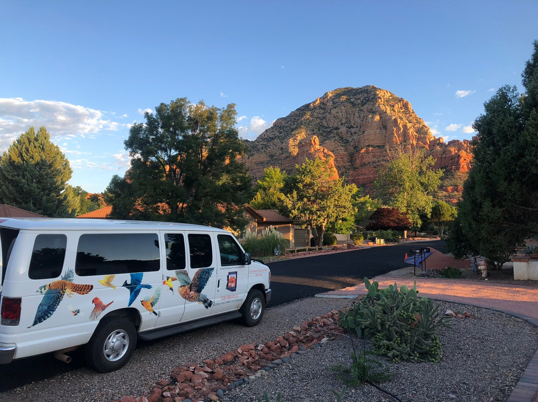 Birding Northern Arizona景点图片